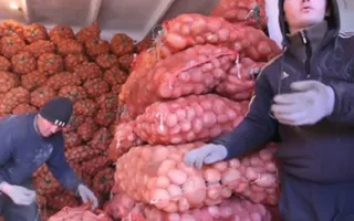 Мошенники ходят по квартирам и предлагают дешёвую картошку