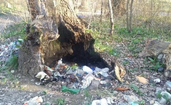 Черноречье продолжает зарастать горами мусора