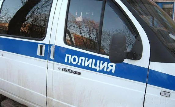 Полиция искала двух девятилетних девочек, которые «ушли прогуляться» 