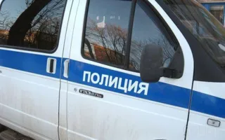 Полиция искала двух девятилетних девочек, которые «ушли прогуляться» 