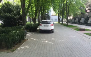 Водители, которым можно всё: парковка у Вечного огня и на переходе
