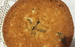 Печенье с комарами продают в Севастополе — фотофакт