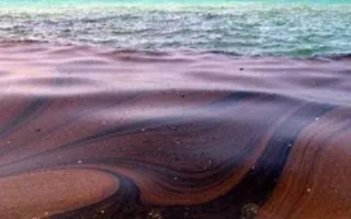 В Севастополе выясняют, какое судно слило в море сотню литров мазута