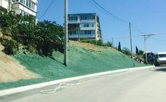К приезду Медведева в Севастополе покрасили землю в цвет травы