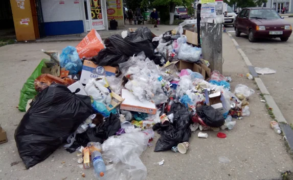 Рядом с кинотеатром на Северной стороне устроили «стихийную» свалку