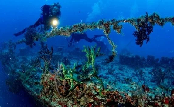 В Крыму создадут первый российский парк искусственных рифов