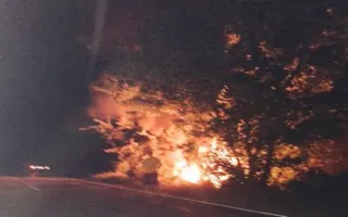  «Опель» сгорел, столкнувшись с деревом под Севастополем