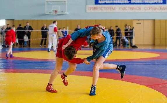 Большее число спортсменов в Севастополе смогут иметь стипендии