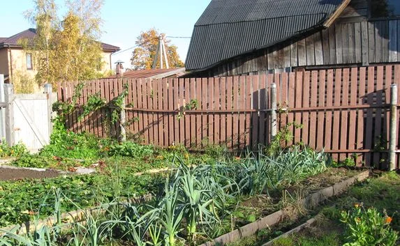 Задержаны подозреваемые в кражах с садовых участков
