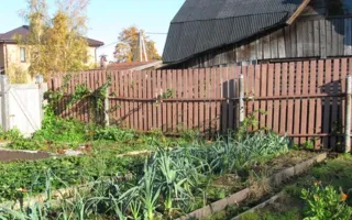 Задержаны подозреваемые в кражах с садовых участков