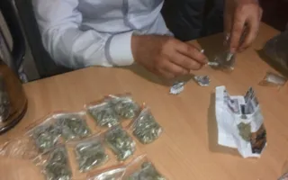 Полиция Севастополя изъяла килограмм марихуаны у «дачника»