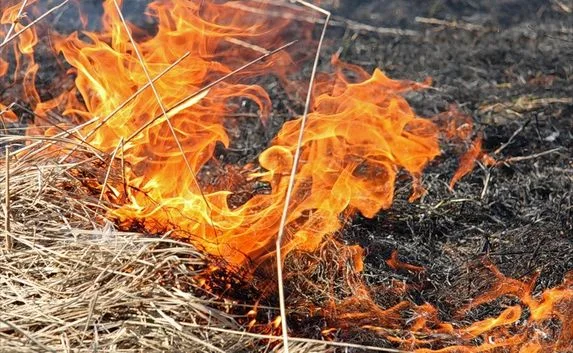 Ликвидирован пожар на 10 га в Бахчисарайском районе 