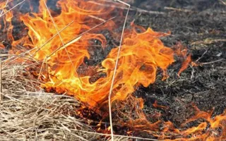 Ликвидирован пожар на 10 га в Бахчисарайском районе 