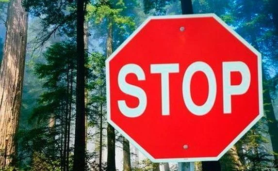 Посещение леса в Крыму грозит штрафом до 4-х тысяч рублей