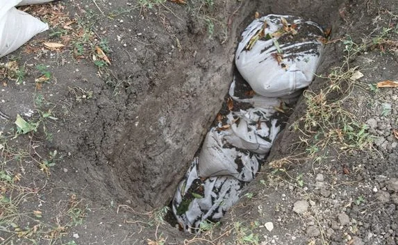 На дачном участке в Севастополе обезврежена авиабомба