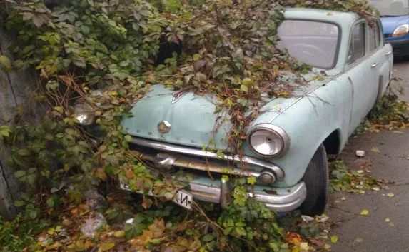 Жителей Севастополя просят сообщать о брошенных авто