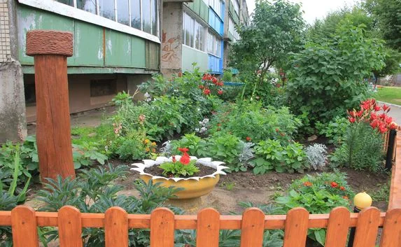 Штраф грозит владельцам цветников и огородиков рядом с многоэтажками
