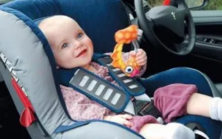 Двухнедельный малыш спасся благодаря автокреслу