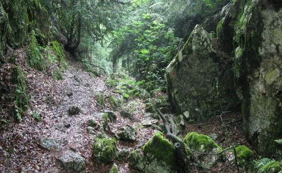 Семью с ребёнком из Омска спасли в крымском ущелье