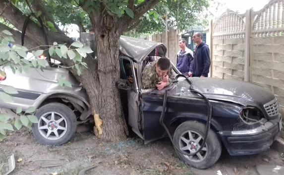 «Волга» «вросла» в дерево: водитель родился в рубашке