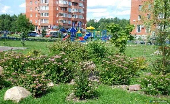 Собственников недвижимости обяжут следить за порядком возле домов