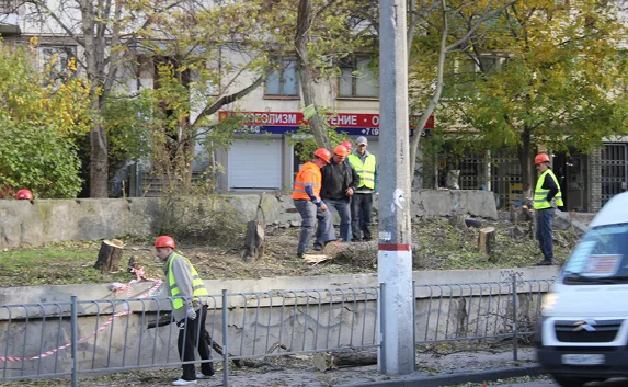 В районе остановки «Улица Кожанова» спилили около 50-ти деревьев