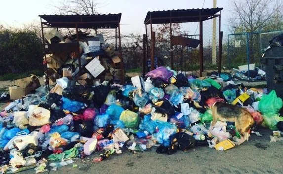 «Склад» мусора образовался на Жидилова — фотофакт