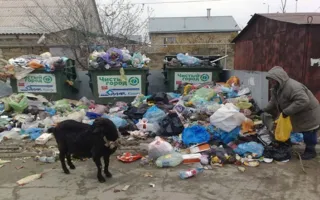 Мусорный коллапс может произойти в Симферополе