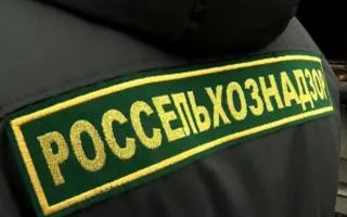Качество продукции намерены проверять на Керченской переправе