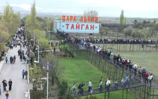 Крымские силовики провели обыски в «Тайгане» 