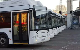 Автобусы из Ялты снова ходят в поселки Южнобережья 