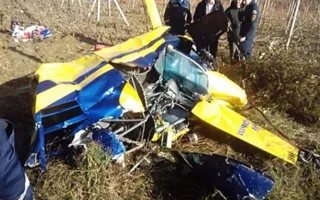 Причиной крушения вертолёта над Алуштой мог стать ворон