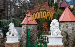 Зоопарк «Сказка» в Ялте закроют в середине марта 