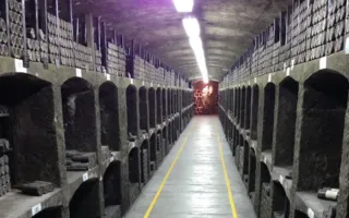 В Крым, на «Дегустанцы»: новинки «Массандры» в сезоне-2017