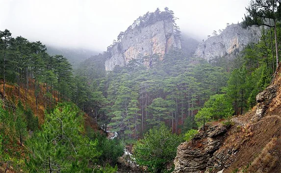 В крымских горах обнаружено тело лесника