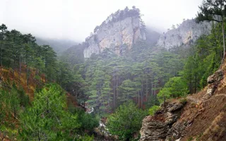 В крымских горах обнаружено тело лесника