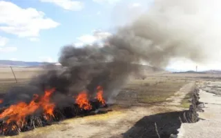 В Крыму трупы сжигают возле жилых домов (фото)