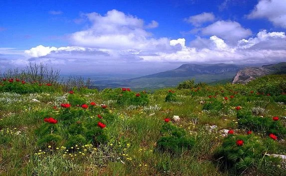Погода в Крыму 8 марта: до 16 градусов тепла и ветрено