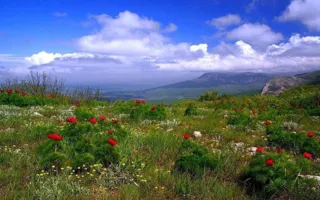Погода в Крыму 8 марта: до 16 градусов тепла и ветрено