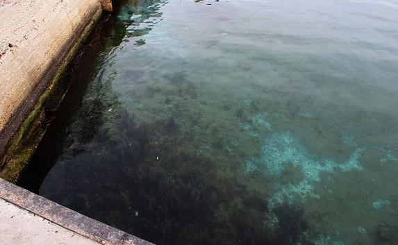 Дно моря в центре Севастополя покрыто странными пятнами — фотофакт