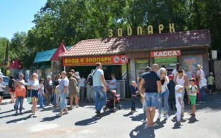 Зубкову вручили протокол о закрытии зоопарка «Сказка»