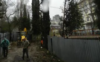 Полувековые кипарисы в Ялте срубили ради очередного магазина