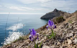 Погода в Крыму и Севастополе 29 марта: тепло и без осадков