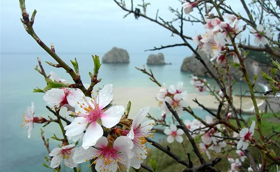 Прогноз погоды в Крыму на выходные 1 и 2 апреля