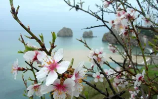 Прогноз погоды в Крыму на выходные 1 и 2 апреля