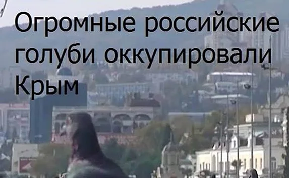 «Мегаватники», Обама и голуби-оккупанты: ТОП-5 крымских шуток