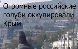 «Мегаватники», Обама и голуби-оккупанты: ТОП-5 крымских шуток