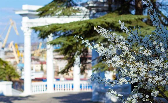 Куда можно сходить в Севастополе на этих выходных — афиша мероприятий