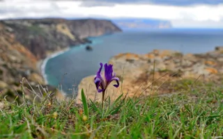 Погода в Крыму и Севастополе: дождливо и ветрено