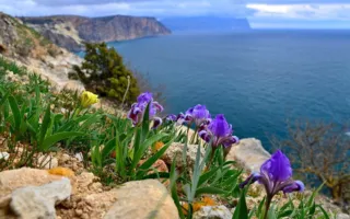 Погода в Крыму и Севастополе 11 апреля: до +16, туман